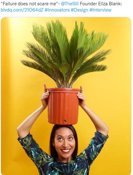 bree - bg - business - the sill.JPG